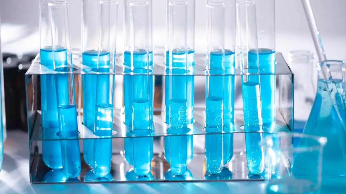 Bakterium, Nanoporensequenzierung, Schafhirte, Mediziner:innen