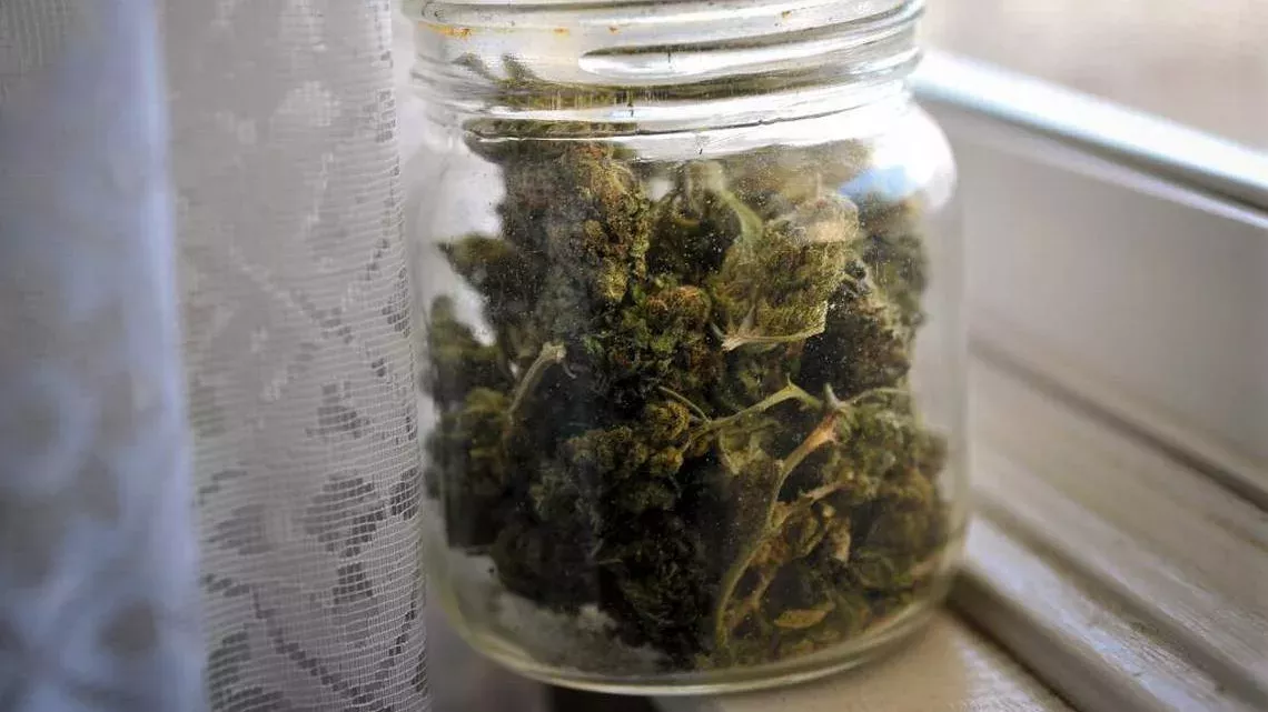 Cannabis-Konsum: Dieses Sinnesorgan wird auf Dauer durch das Rauchen verändert