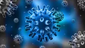Herpes Simplex Virus: Ursachen, Symptome, Therapie und Behandlung, um was handelt es sich bei Herpes an der Lippe und Herpes genitalis?