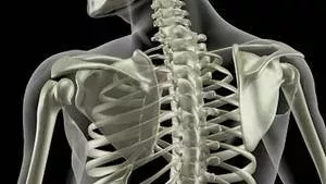 Osteoporose: Symptome, Therapie, Behandlung, Ernährung, Ursachen und Medikamente