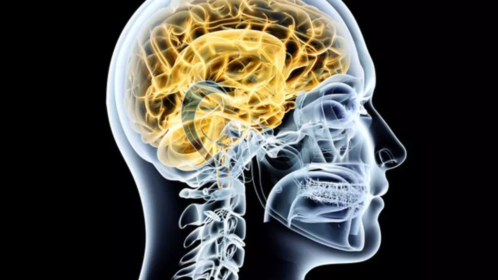 Parkinson: Symptome, Demenz, Ursachen, Verlauf, Therapie und Lebenserwartung