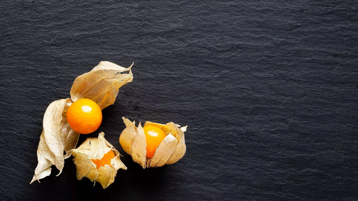 Physalis: Die Superfrucht, die es bald in Massen geben könnte