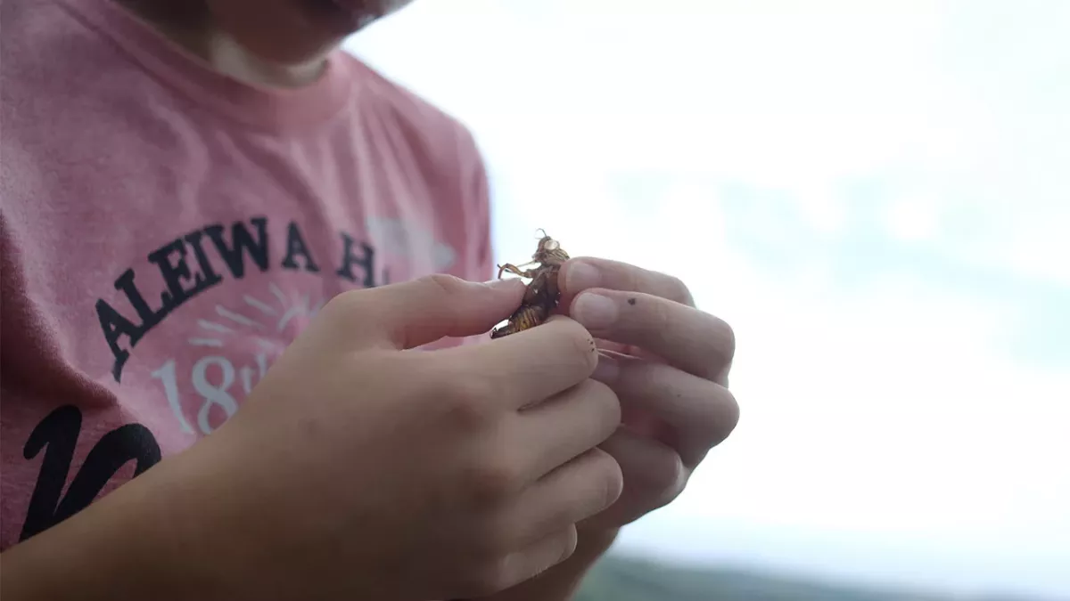 Teenie macht Insekten-Diät: Die Verwandlung seines Körpers ist krass
