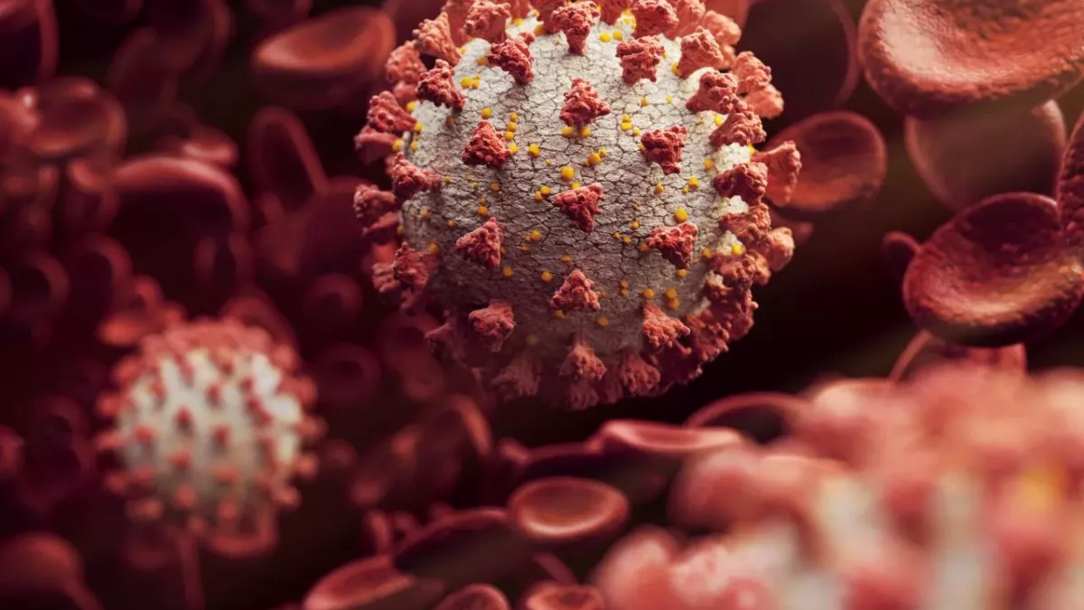 Virus