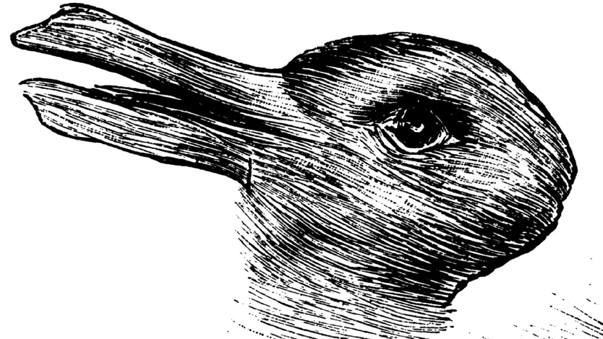 Hase oder Ente? Was du hier als erstes siehst, verrät einiges über dich
