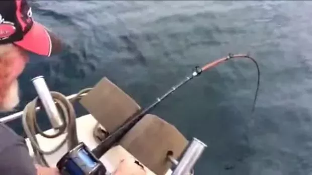 Australischer Angler wird dieses Erlebnis nie vergessen