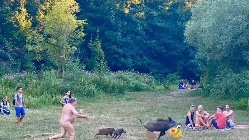 Nackter Mann verfolgt Wildschwein, das seine Sachen gestohlen hat