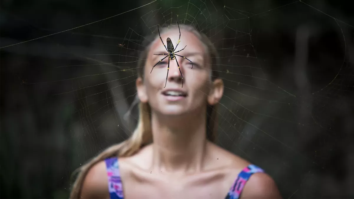 Veganerin wird von Spinne gebissen: Die Folgen sind heftig