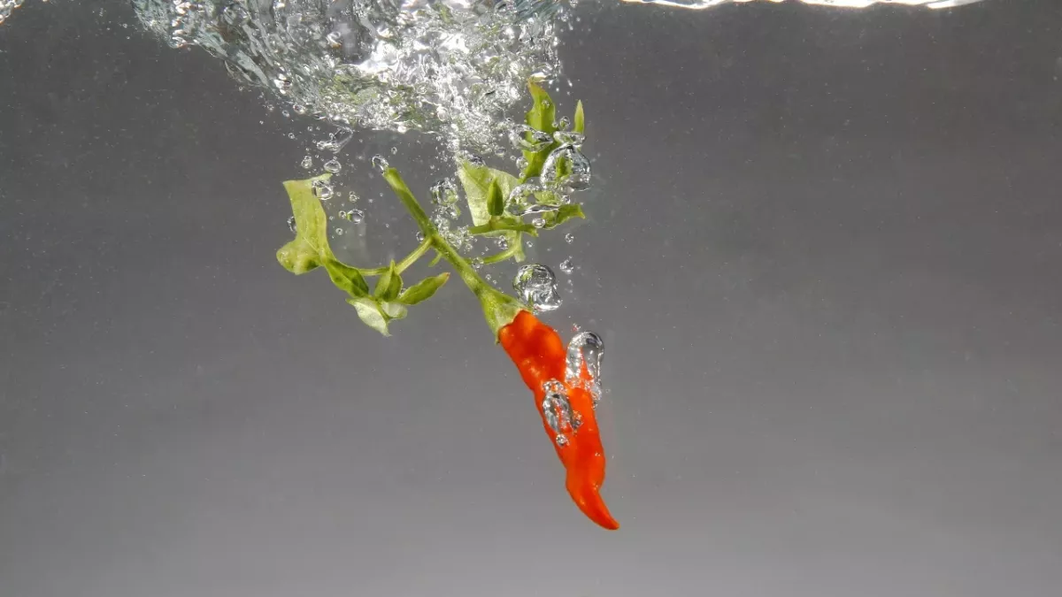 Chili-Wasser