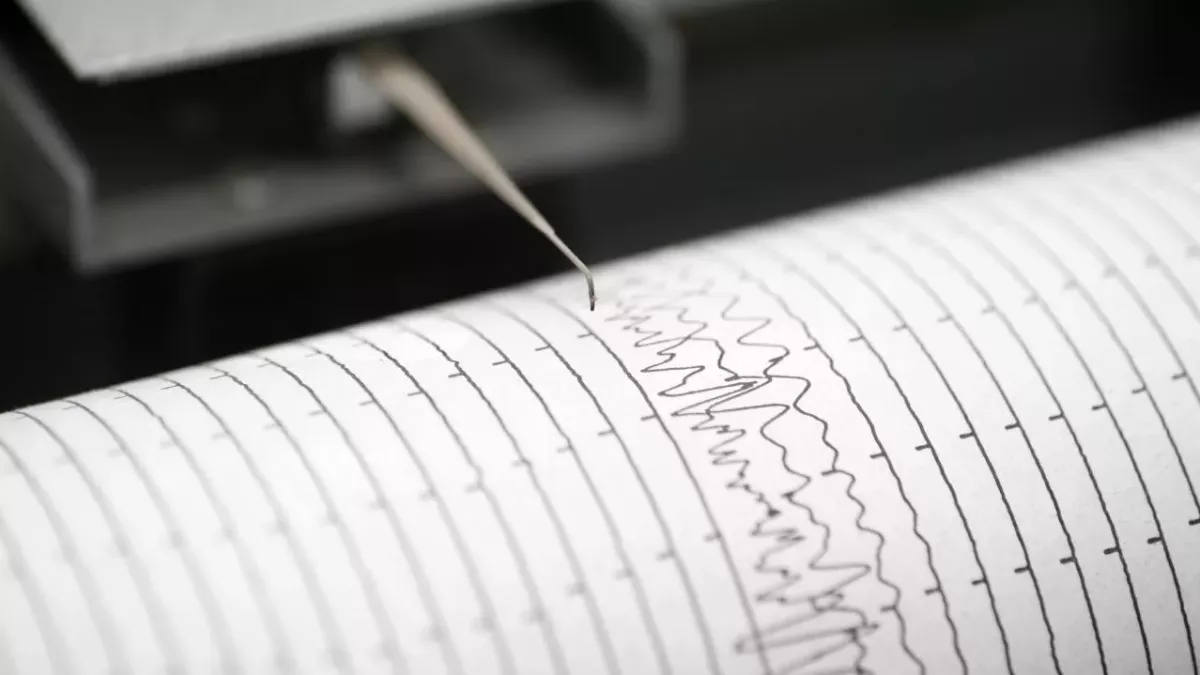 Nahaufnahme eines Seismometer-Drucks