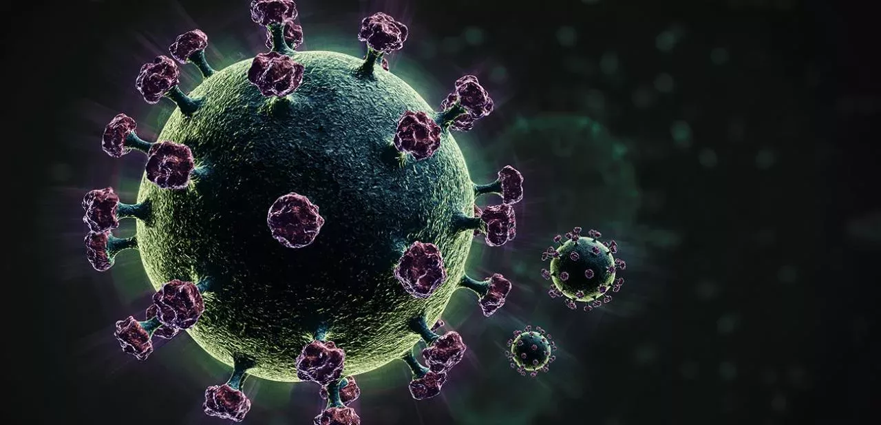 Bretonische Corona-Variante kann angeblich PCR-Test umgehen 