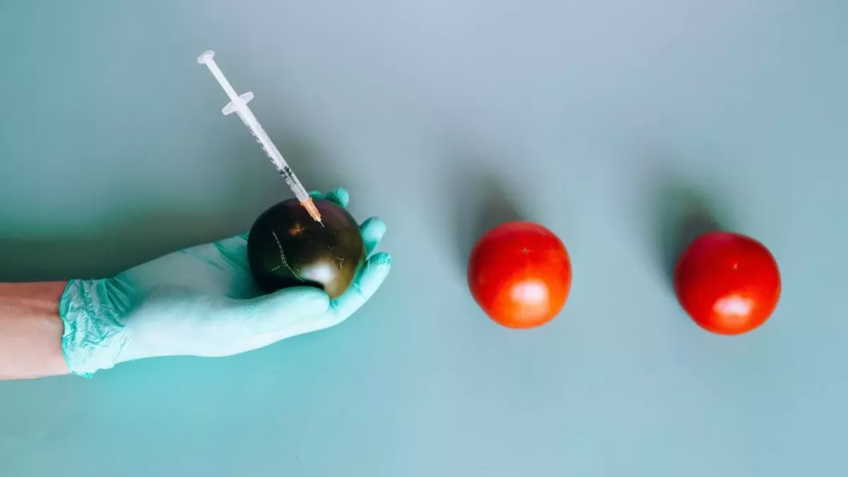In Deutschland sind bisher acht Coronavirus-Mutationen nachgewiesen
