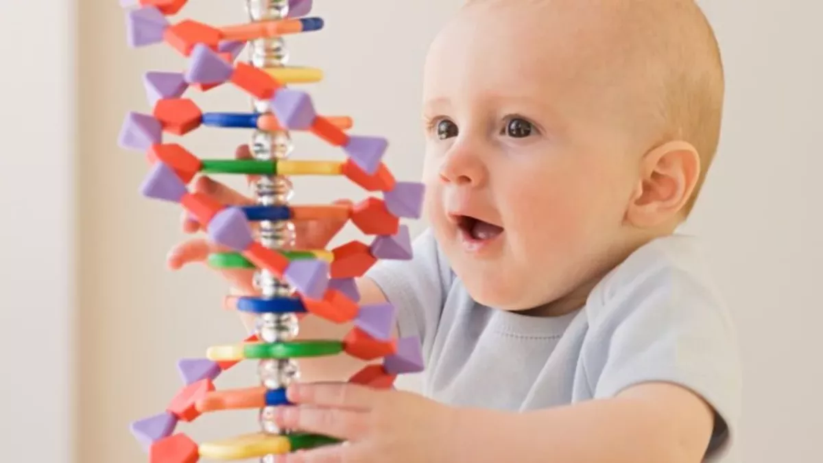 DNA gibt Aufschluss über unsere Lebenserwartung