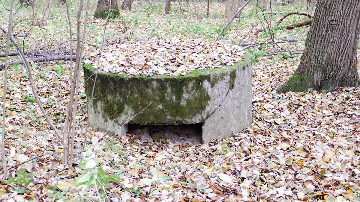 Ein Nazi-Bunker mitten im Wald!