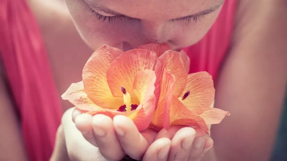 Eine Makro-Aufnahme einer Frau, die an gelben Blüten riecht