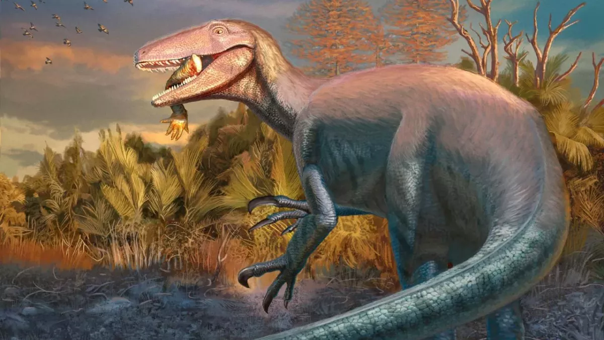 Reconstruction artistique d'un "Joaquinraptor casali".