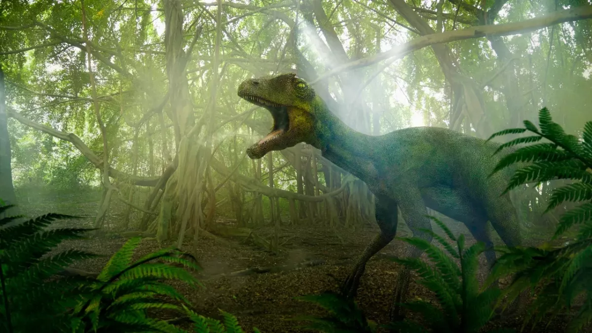 Unglaubliche Entdeckung: In Australien wird ein seltener Dinosaurier gefunden