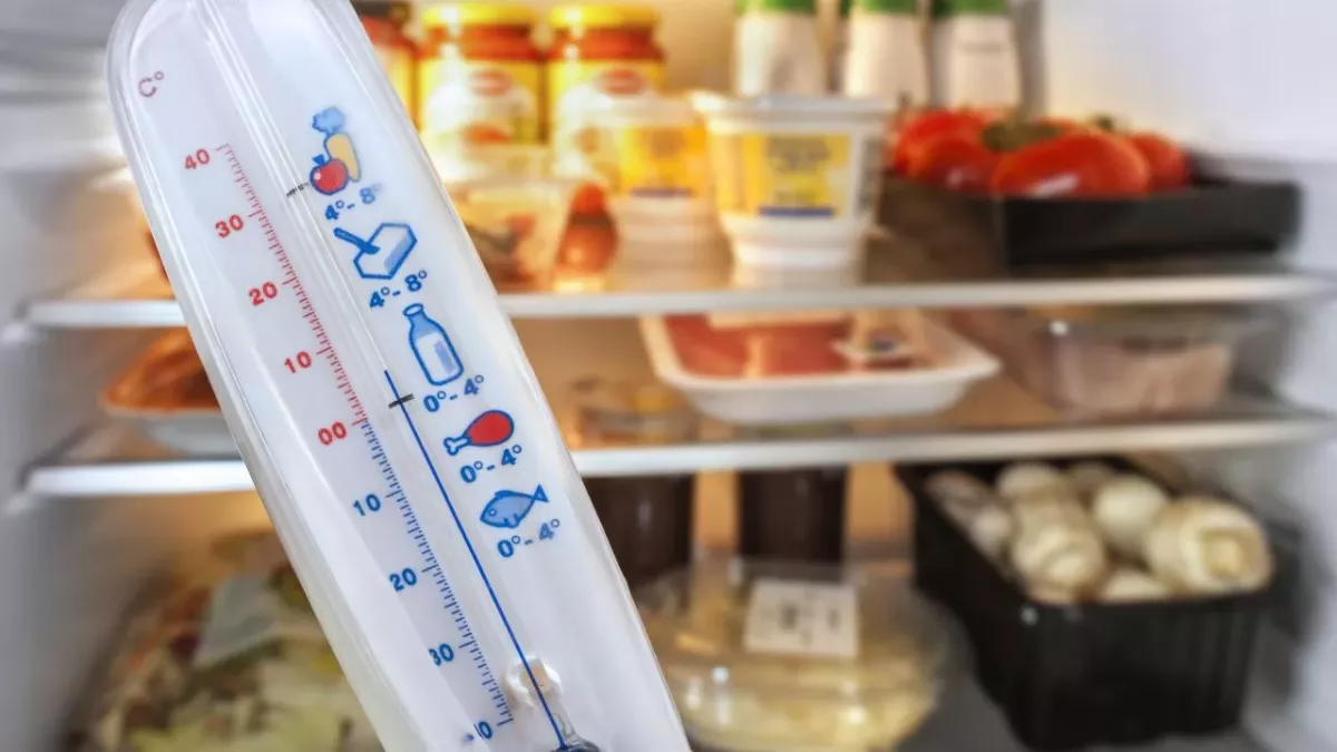 Die perfekte Kühlschranktemperatur 