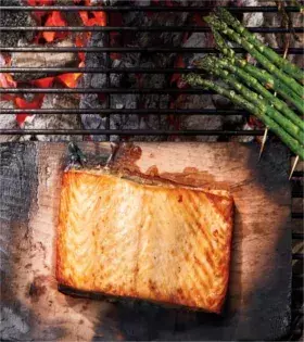 6: Fisch enthält viele Omega 3 Fettsäuren und ist daher gut geeignet: 27g Eiweiß auf 100g.