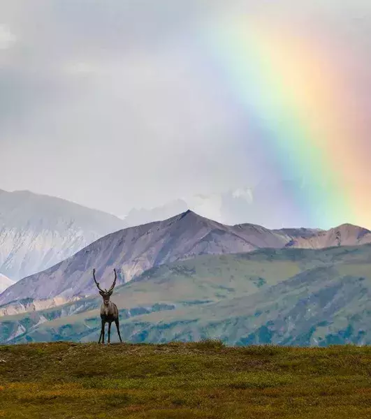Alaska (USA): Wenn du dort hinziehst, könntest du um etwa 1200 Dollar pro Jahr reicher sein