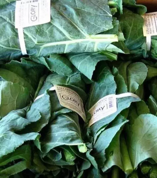 Blattkohl