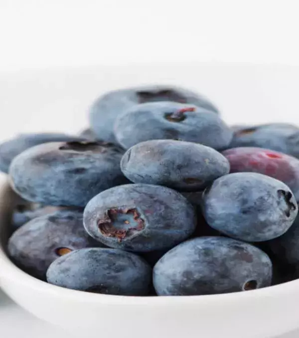 Blaubeeren: die besten Früchte, die man essen kann. Sie liefern mehr Ballaststoffe, Vitamine und Mineralien als jede andere Frucht