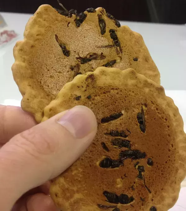 Japan – Kekse mit eingebackenen Wespen