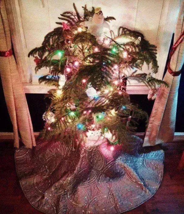 Kann man das noch Tannenbaum nennen?