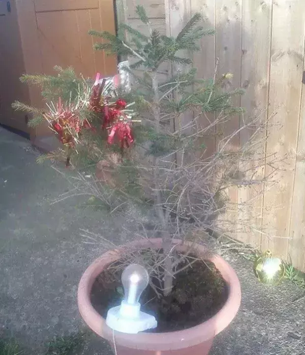 Liebevoll mit einer Glühlampe beleuchtet