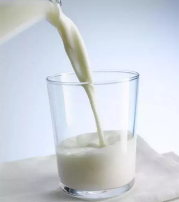 Milch: sehr gut für den Körper und ein idealer Fatburner