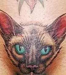 Tattoos für Frauen: Katzen Tattoo im Intimbereich einer Frau