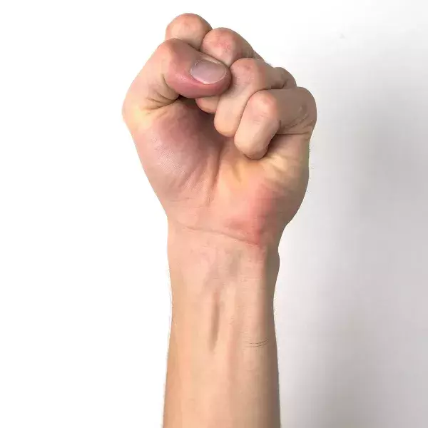 1. Der lange Hohlhandmuskel