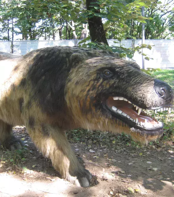 Andrewsarchus: Das größte, fleischfressende Säugetier aller Zeiten. Dieses Biest war knapp 4 Meter groß und mit einem riesigen Gebiss ausgestattet.